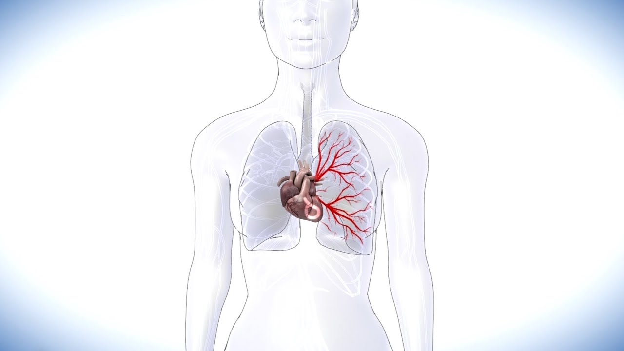 La relación entre la presión arterial alta y los problemas pulmonares: descubre cómo afecta tu salud